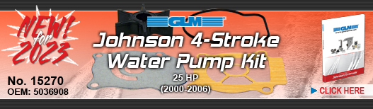 NEW! Johnson Water Pump Kit