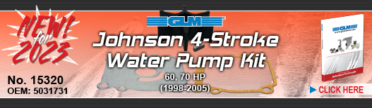 NEW! Johnson Water Pump Kit