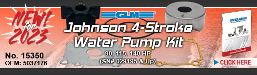 NEW! Johnson Water Pump Kit