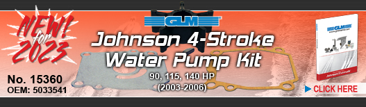 NEW! Johnson Water Pump Kit