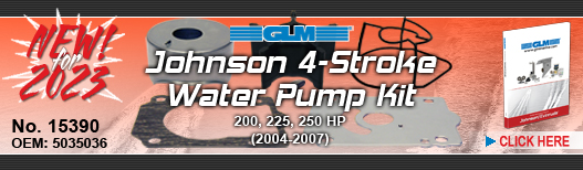 NEW! Johnson Water Pump Kit