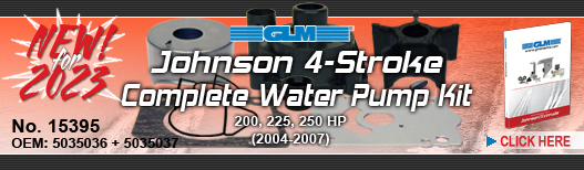 NEW! Johnson Complete Water Pump Kit