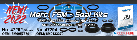 NEW! FSM Seal Kits