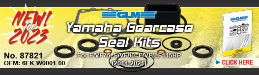 NEW! Gearcase Seal Kit