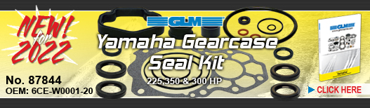 NEW! Gearcase Seal Kit