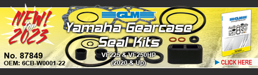 NEW! Gearcase Seal Kit